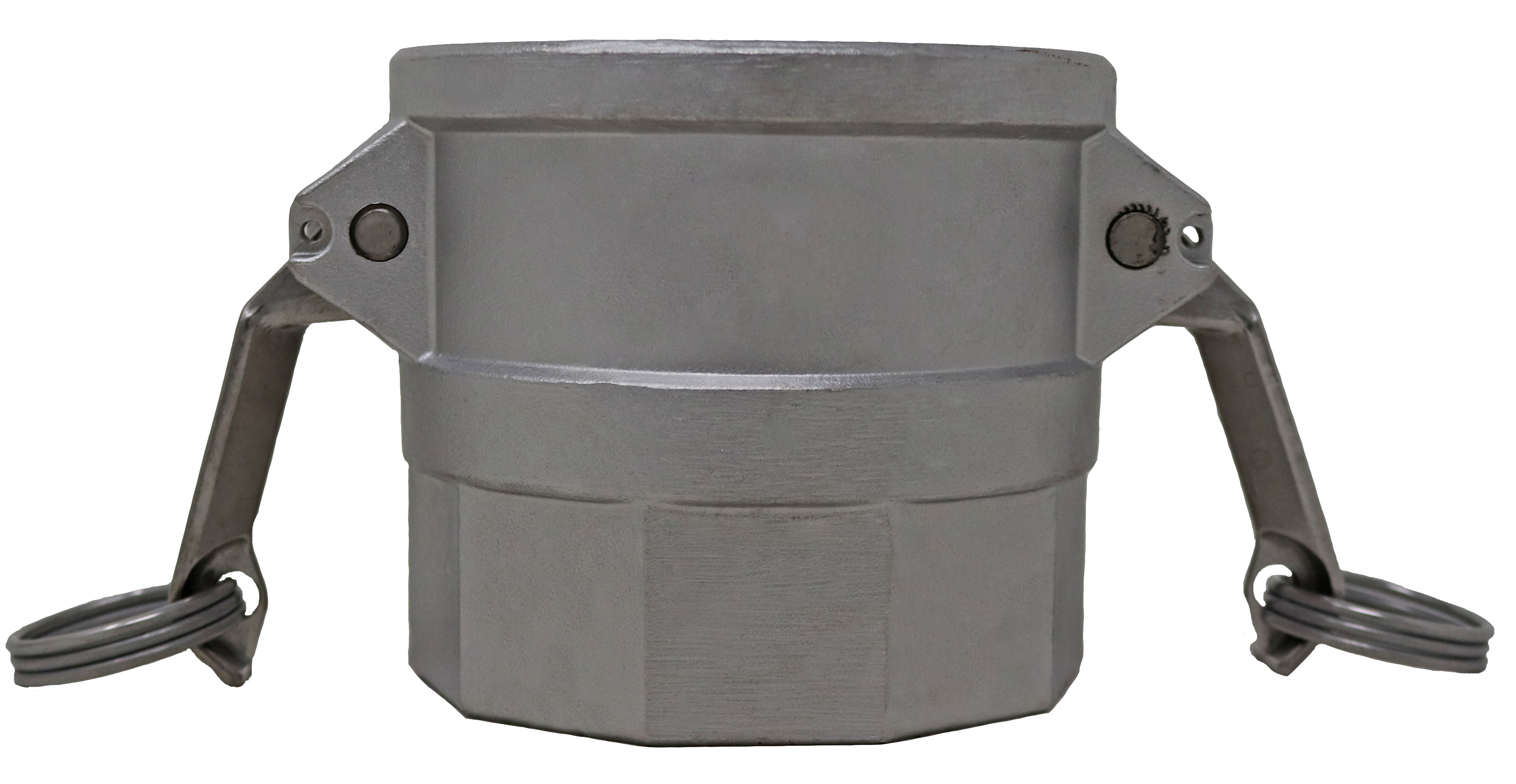 PT Coupling CF1000460 Coupler, 6 in Type D x 6 in FNPT, Aluminum